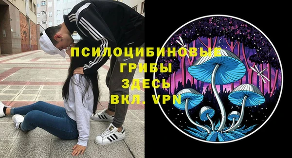ALPHA-PVP Арсеньев