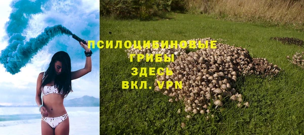 сатива Аркадак