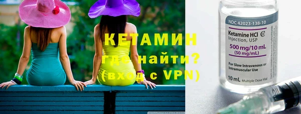 сатива Аркадак