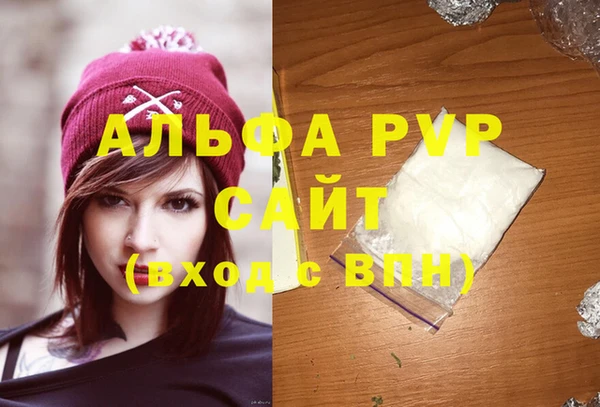 сатива Аркадак
