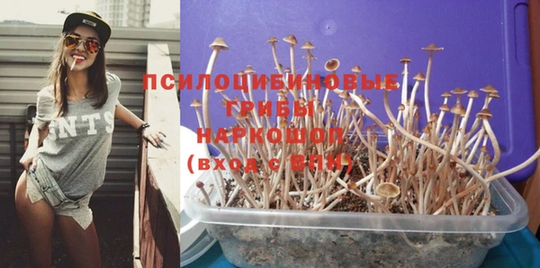 сатива Аркадак