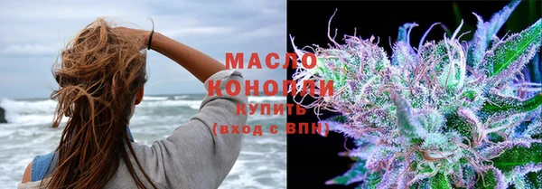 сатива Аркадак