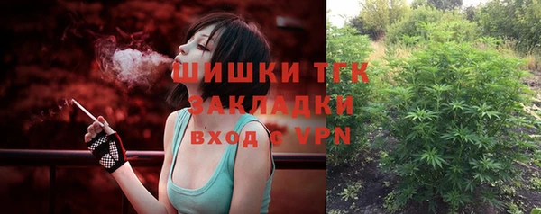 сатива Аркадак