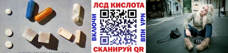 где купить наркотик  Курчалой  кракен как зайти  Лсд 25 экстази ecstasy 