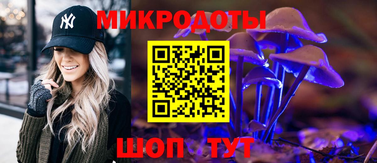 Псилоцибиновые грибы GOLDEN TEACHER  Псилоцибиновые грибы GOLDEN TEACHER  Вход с VPN  Курчалой 